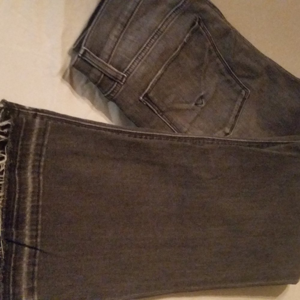 HUDSON HOLLY CROP FLARE 32